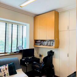 Thomson Euro-asia (D11), Condominium #568736211